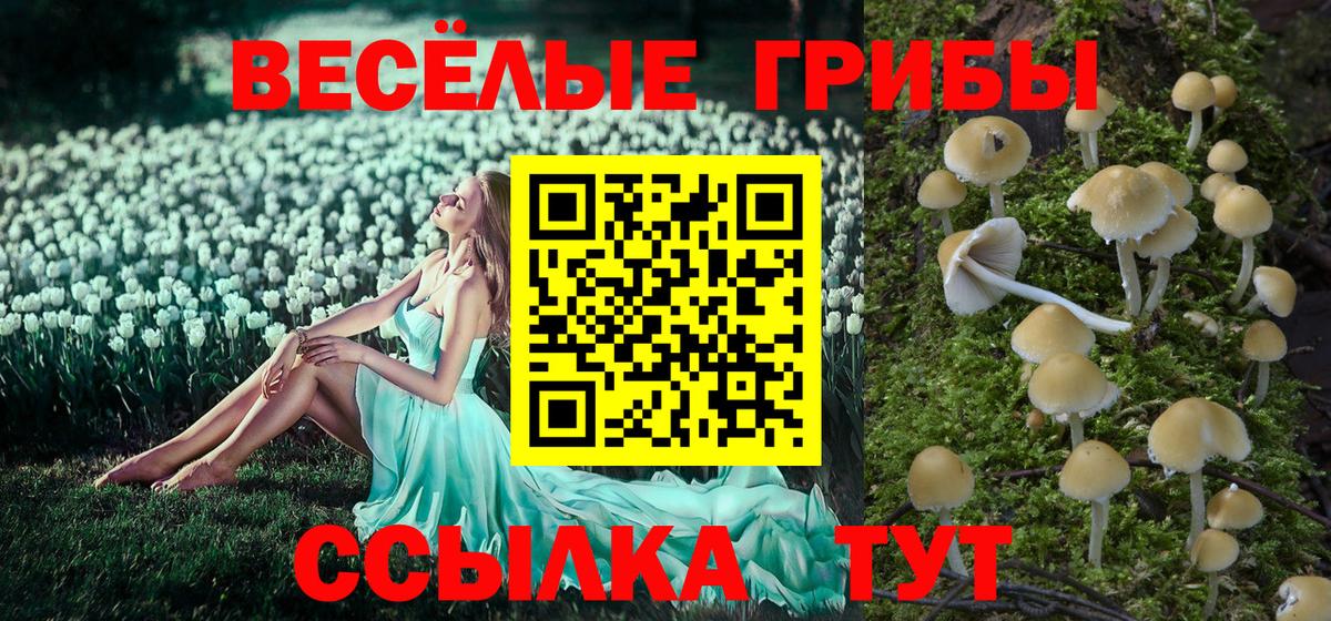 Кольчугино  Псилоцибиновые грибы мухоморы  Вход с VPN 